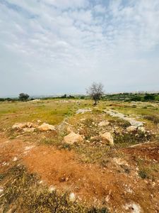 Arsa-Tarla