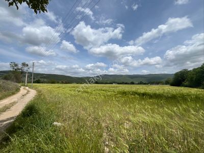 Muğla Menteşe Yeşilyurt Mah. Satılık Tarla
