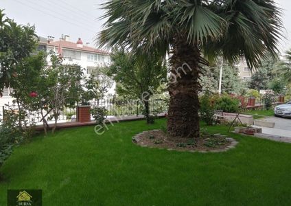 Arsa-Bağ & Bahçe