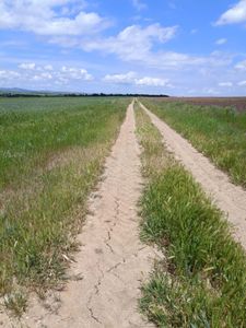 Arsa-Tarla