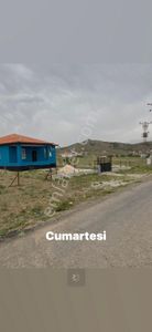 Konut-Daire