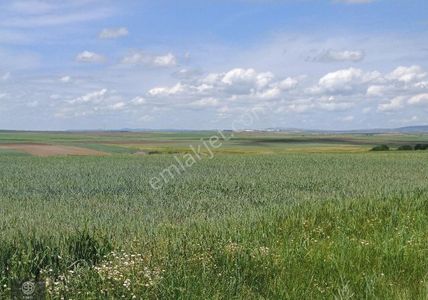 Arsa-Tarla
