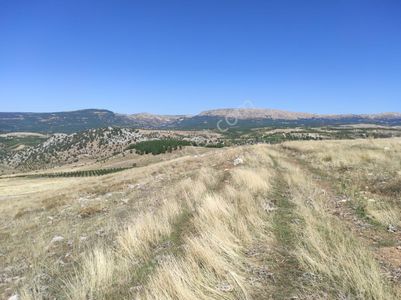 Arsa-Tarla