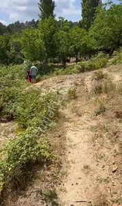 Arsa-Bağ & Bahçe