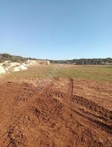 Arsa-Tarla