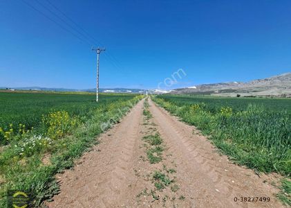 Arsa-Tarla