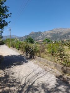 Arsa-Tarla