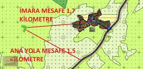 Arsa-Tarla