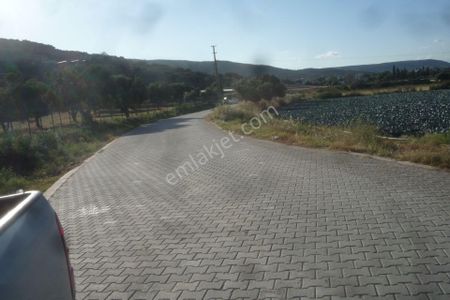 İzmir Torbalı Gold Emlaktan Satılık Kıymetli Tarla