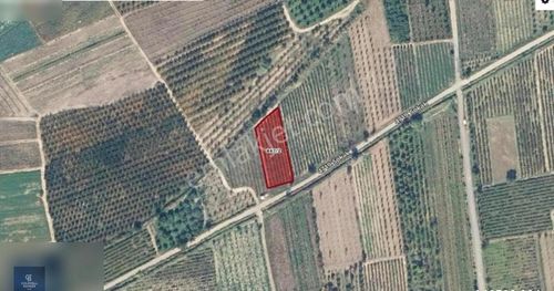 Arsa-Bağ & Bahçe