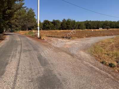 Arsa-Tarla