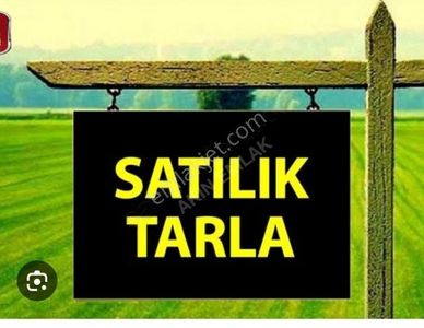 Arsa-Bağ & Bahçe