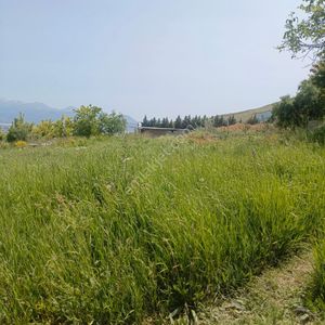 Arsa-Tarla