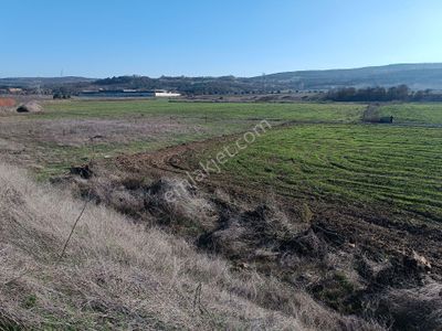 Arsa-Tarla