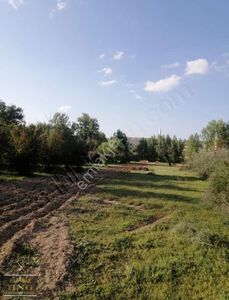 Arsa-Tarla