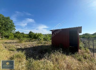 Arsa-Tarla