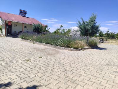 Arsa-Tarla
