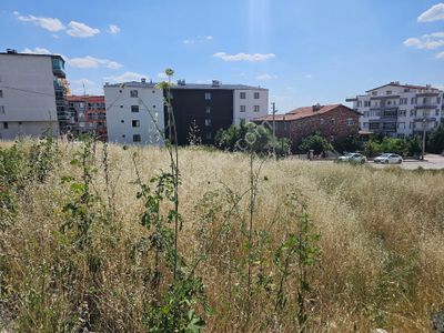 Arsa-Tarla