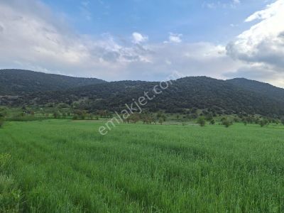 Asya Emlaktan Burdur Ağlasun Hisarköy De Satılık Fırsat Tarla