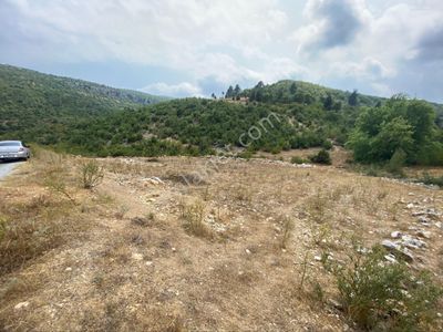 Arsa-Tarla