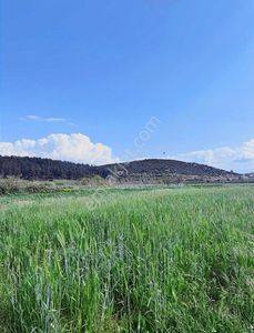 Arsa-Tarla
