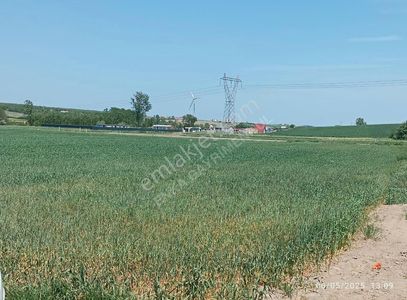 Arsa-Tarla