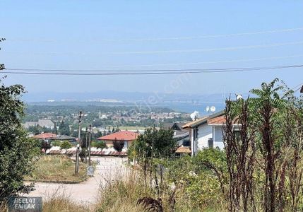 Arsa-Bağ & Bahçe