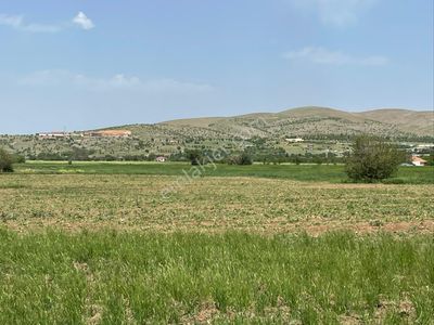 Arsa-Tarla