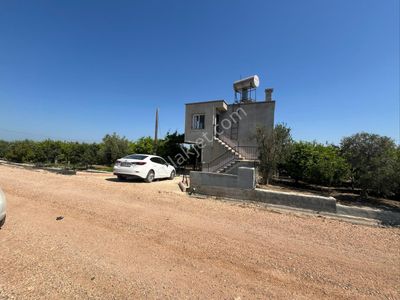 Arsa-Tarla