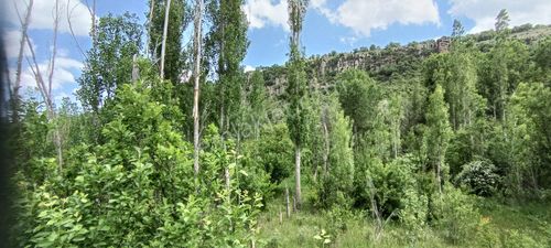 Arsa-Tarla