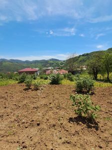 Arsa-Tarla
