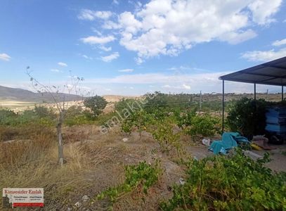 Arsa-Bağ & Bahçe