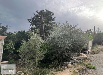 Arsa-Villa İmarlı