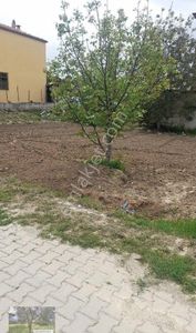 Arsa-Konut İmarlı