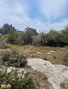 Arsa-Konut İmarlı