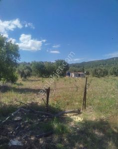 Arsa-Tarla