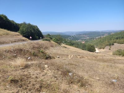 Arsa-Tarla