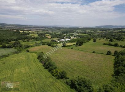Arsa-Tarla