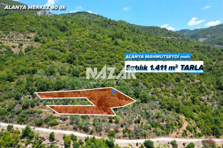 Alanya Mahmutseydi'de Satılık 1.411 M² Tarla