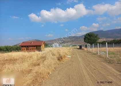 Arsa-Bağ & Bahçe