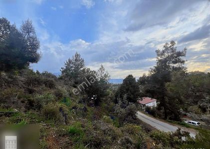 Arsa-Konut İmarlı