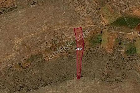 Batman Gerçüş Akburç Ta Satılık 6360metrekare