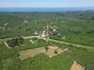 Kocaali Selahiyede Projeli Ruhsatlı *1100 M2* Satılık Parseller