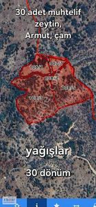 Arsa-Bağ & Bahçe