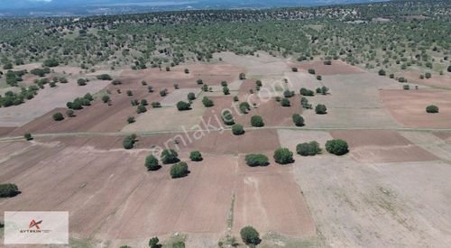Arsa-Tarla