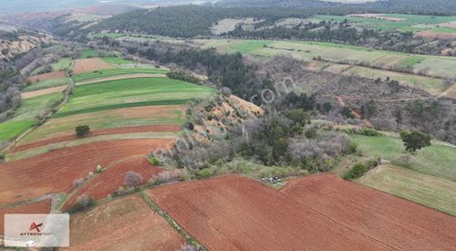 Arsa-Tarla