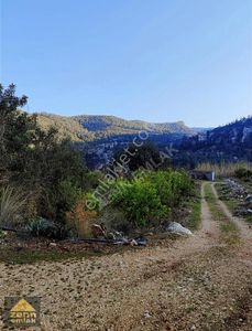 Arsa-Bağ & Bahçe