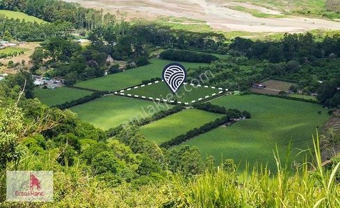 Arsa-Konut İmarlı