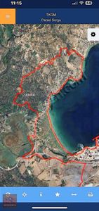 Arsa-Zeytinlik