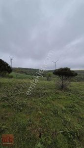 Arsa-Tarla